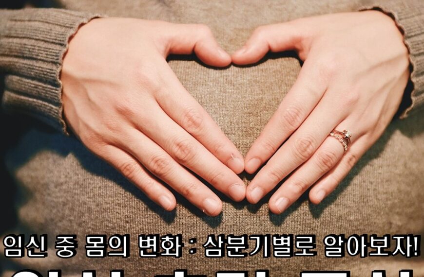 임신 초기 증상 & 임신 극초기 증상 & 임신 중 몸의 변화 : 삼분기별로 알아보자!